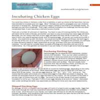 Scratch Cradle's Guide to Incubation