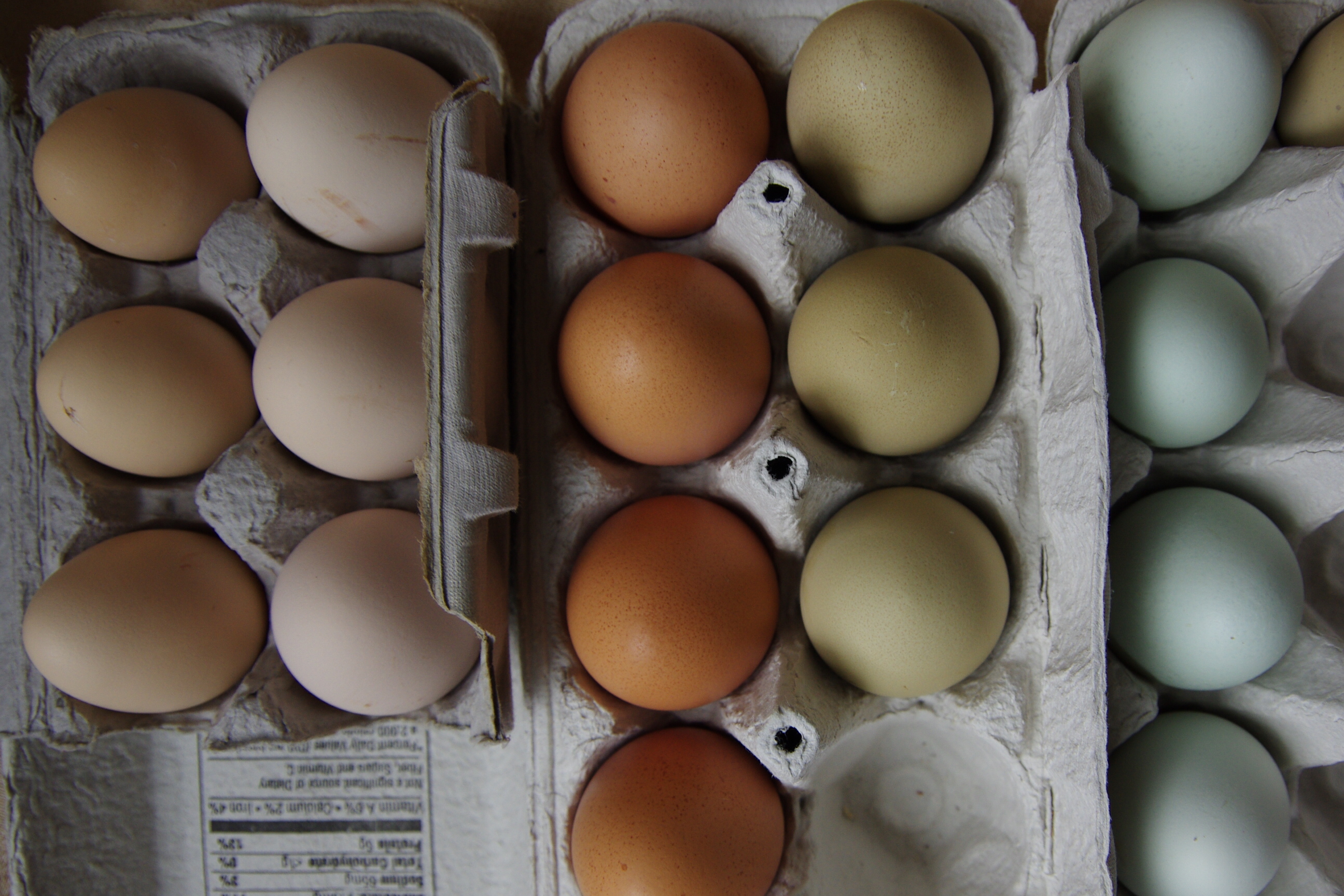 Egg Color Chart