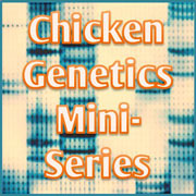 Genetics Mini-Series